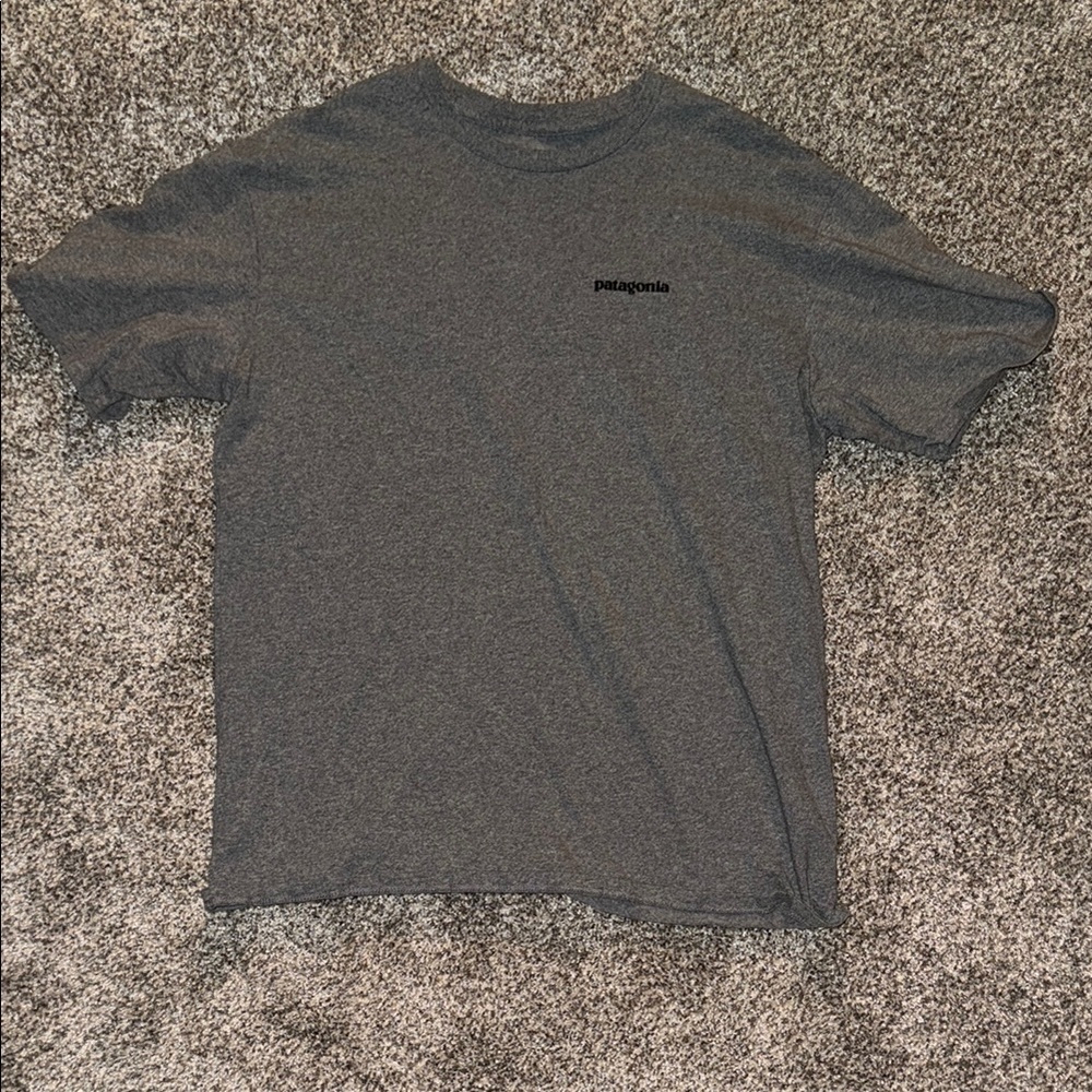 Patagonia Gray Short Sleeve Tee